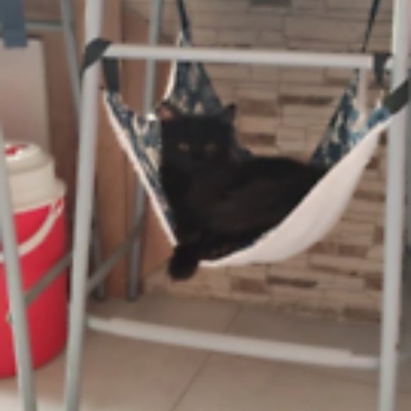 3 Pack Cat Hammocks XL Pets Lounge For Small Pets - Picture 6 of 12